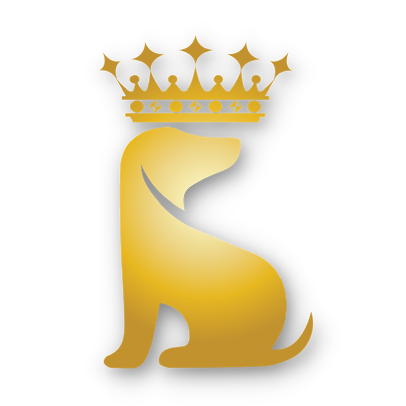 RMG Dog logo
