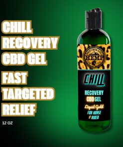 CHILL Recovery CBD Gel | 12 oz