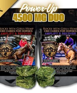 4,500 MG Cube DUO | 50 MG CBD Amplify & Recover Cubes for Horses | 90 Pc | Full Spectrum